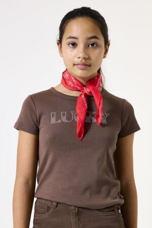 Garcia shirts 1684 Walnut H52402