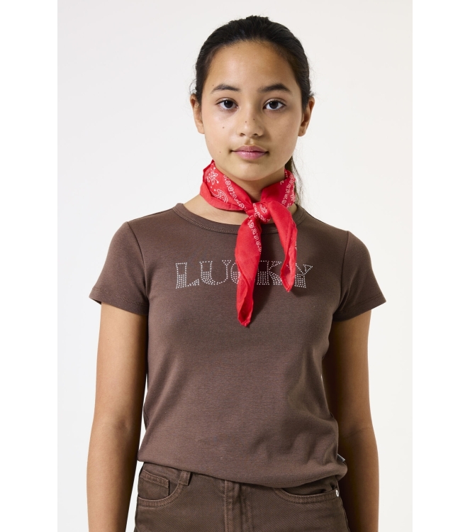 Garcia shirts 1684 Walnut H52402