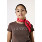 Garcia shirts 1684 Walnut H52402