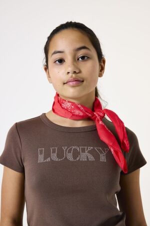 Garcia shirts 1684 Walnut H52402