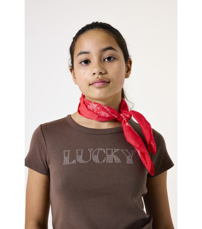 Garcia shirts 1684 Walnut H52402