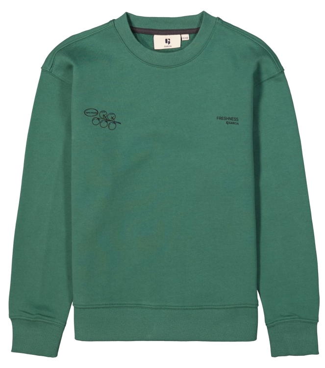 Garcia truien & vesten 5911 Conifer H53464