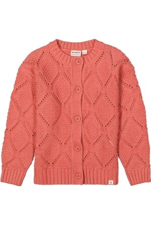 Garcia truien & vesten 3973 Cedar Blush H54452