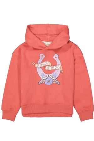 Garcia truien & vesten 3973 Cedar Blush H54461