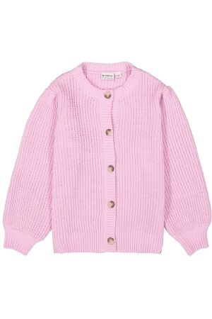 Garcia truien & vesten 1779 Lilac Rose I54652