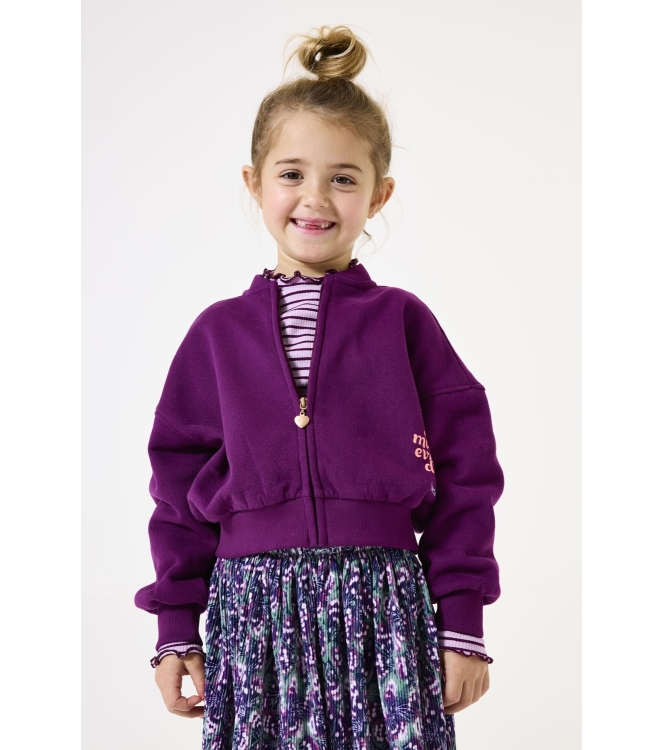 Garcia truien & vesten 3988 Plum Purple I54653