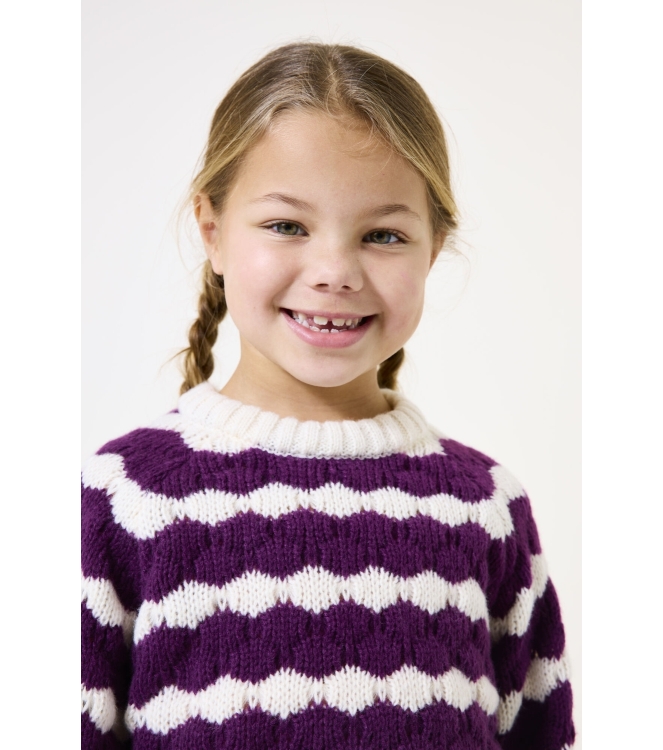 Garcia truien & vesten 3988 Plum Purple J54444