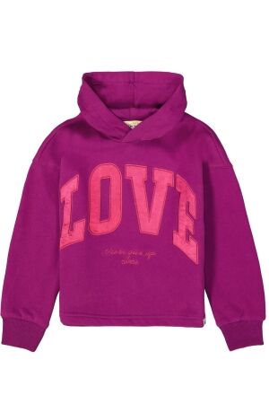 Garcia truien & vesten 3988 Plum Purple J54461