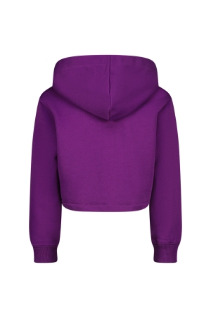 Vingino truien & vesten 891 Ultra purple AW24KGN34603