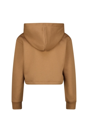 Vingino truien & vesten 790 Rustic brown AW24KGN34603