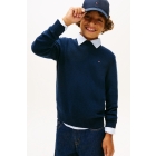 Tommy Hilfiger truien C1G Dark Night Navy KB0KB10348