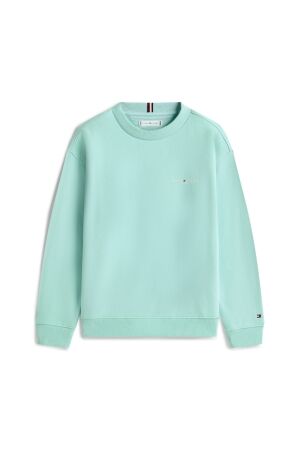Tommy Hilfiger truien & vesten DAA Ocean Spray KS0KS00665