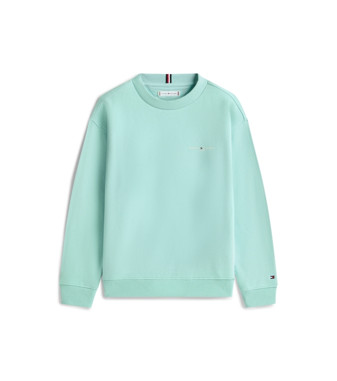 Tommy Hilfiger truien & vesten DAA Ocean Spray KS0KS00665