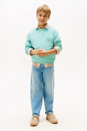 Tommy Hilfiger truien & vesten DAA Ocean Spray KS0KS00665