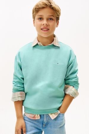 Tommy Hilfiger truien & vesten DAA Ocean Spray KS0KS00665