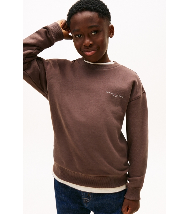Tommy Hilfiger truien & vesten GW1 Black Walnut KS0KS00665