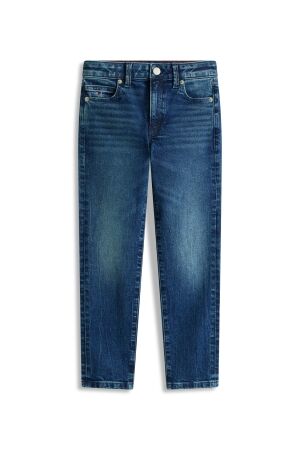 Tommy Hilfiger Jeans Straight Fit 1BJ Denim Dark 01