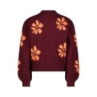 Vingino truien & vesten 653 Red Wine AW24KGN34801