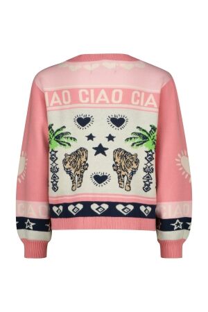 Vingino truien & vesten 1260 Brandied Apricot CR26KG382051