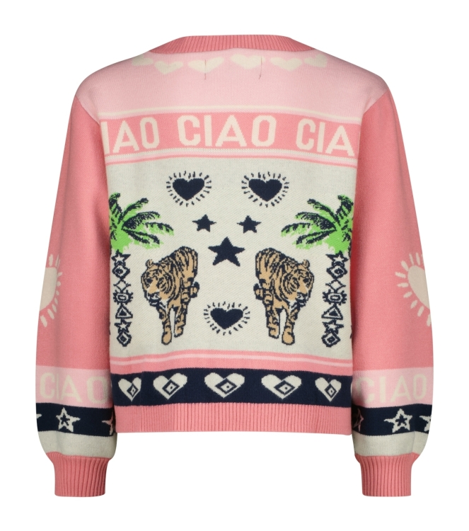 Vingino truien & vesten 1260 Brandied Apricot CR26KG382051