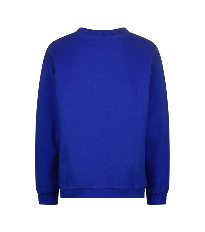 Vingino truien & vesten 1094 Web blue WO25KB340050