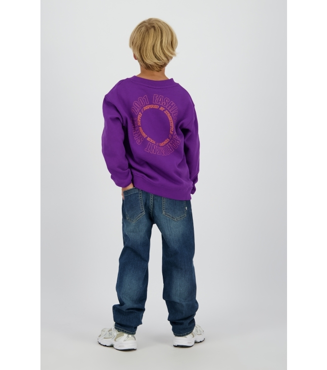 Vingino truien & vesten 882 Pansy purple WO25KB340051