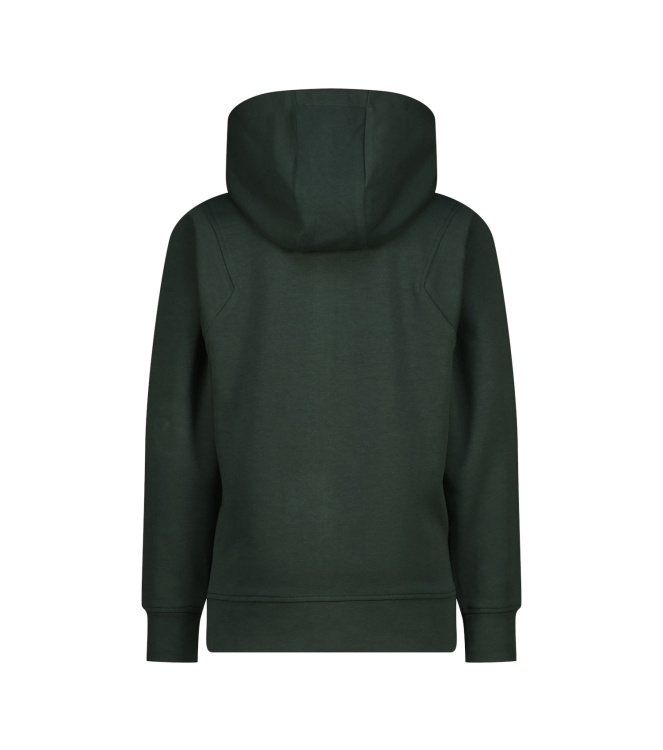 Vingino truien & vesten 1187 Darkest green WO25KB348069