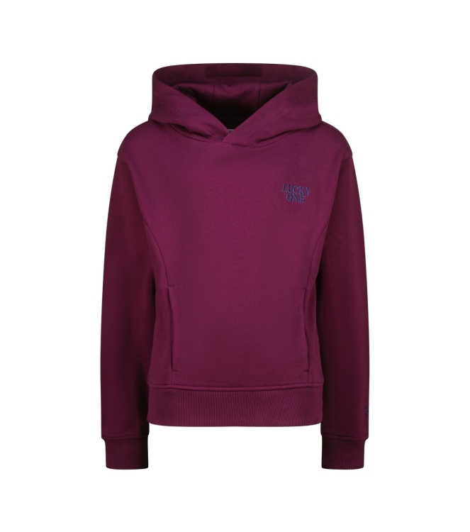 Vingino truien & vesten 890 Magic purple WO25KG340016