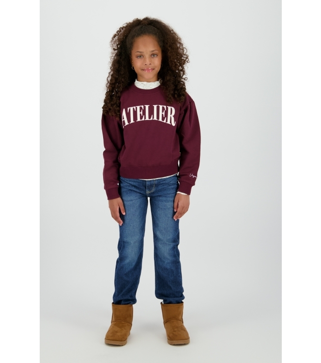 Vingino truien & vesten 653 Red Wine WO25KG340021