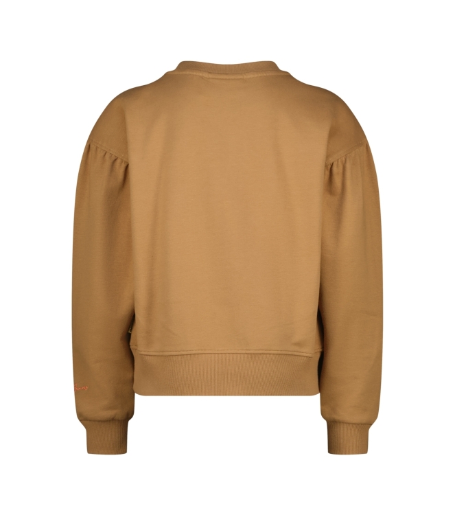 Vingino truien & vesten 790 Rustic brown WO25KG340021