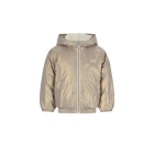 Le Chic jassen 409 Golden Glow C511-5205