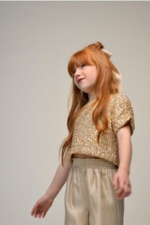 Le Chic haaraccessoires 409 Golden Glow C511-5925