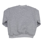 Gymp truien GSCHINE Grey Melange 352-6375-20