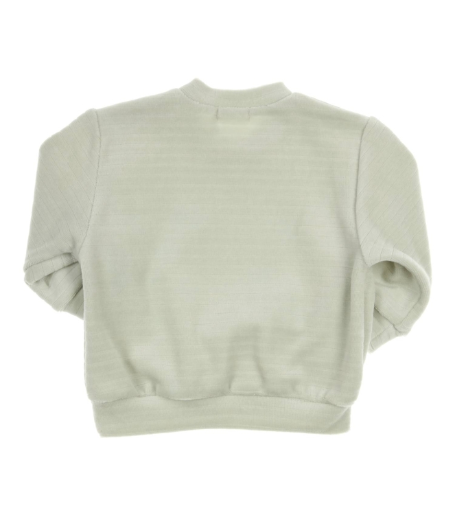 Gymp truien LGN Pale Green 352-6417-20