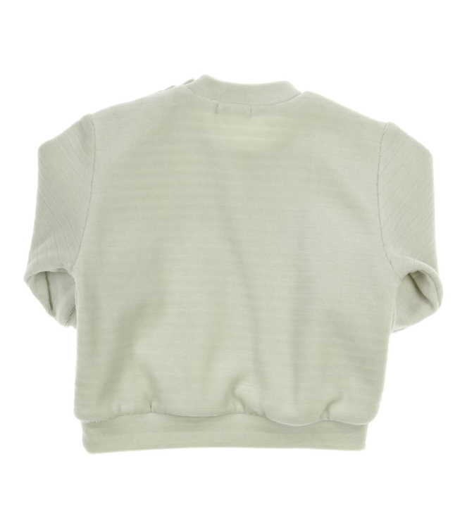 Gymp truien LGN Pale Green 352-6418-20