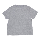 Gymp shirts GSCHINE Grey Melange 353-6244-20