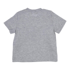Gymp shirts GSCHINE Grey Melange 353-6246-20