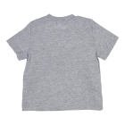 Gymp shirts GSCHINE Grey Melange 353-6249-20