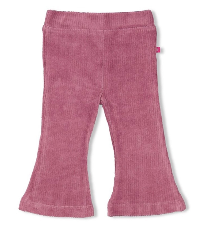 Feetje broeken 255 Lila 52202245