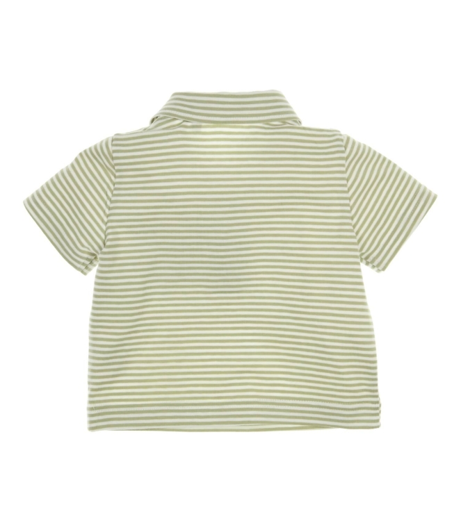 Gymp shirts GN-W Green - White 353-6314-20