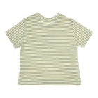 Gymp shirts GN-W Green - White 353-6339-20