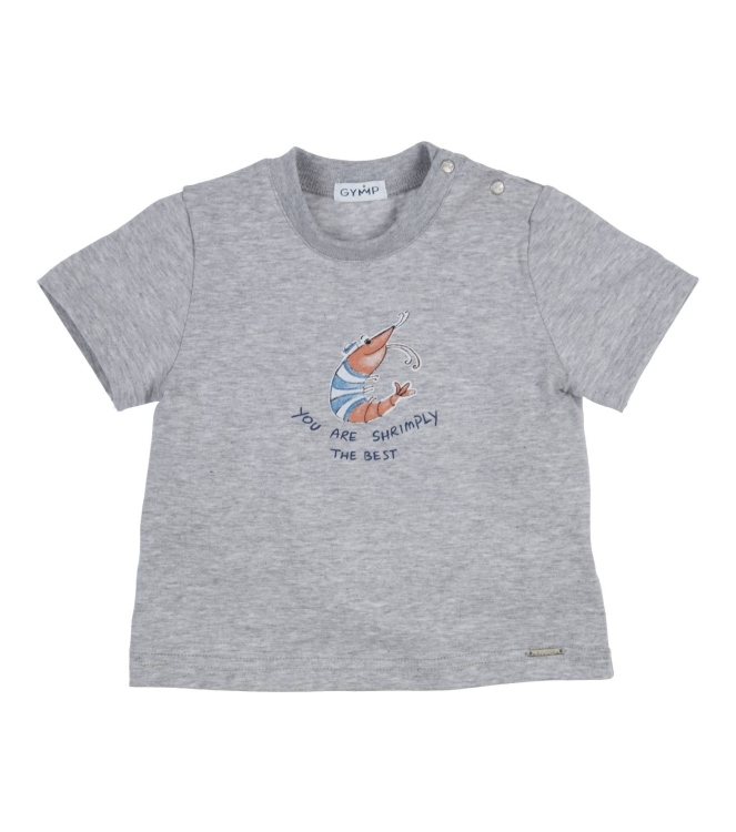 Gymp shirts GSCHINE Grey Melange 353-6355-20