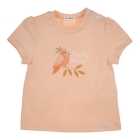 Gymp shirts APR Apricot 353-6357-10