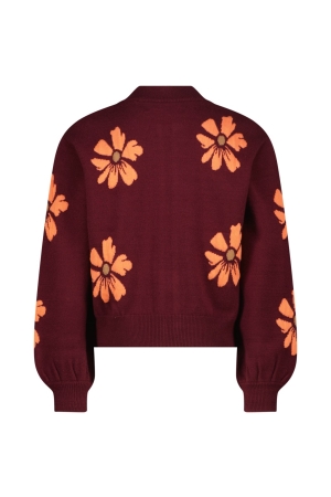 Vingino truien & vesten 653 Red Wine AW24KGN34801