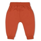 Feetje broeken 355 Brique 52202267