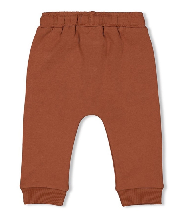 Feetje broeken 400 Bruin 52202269