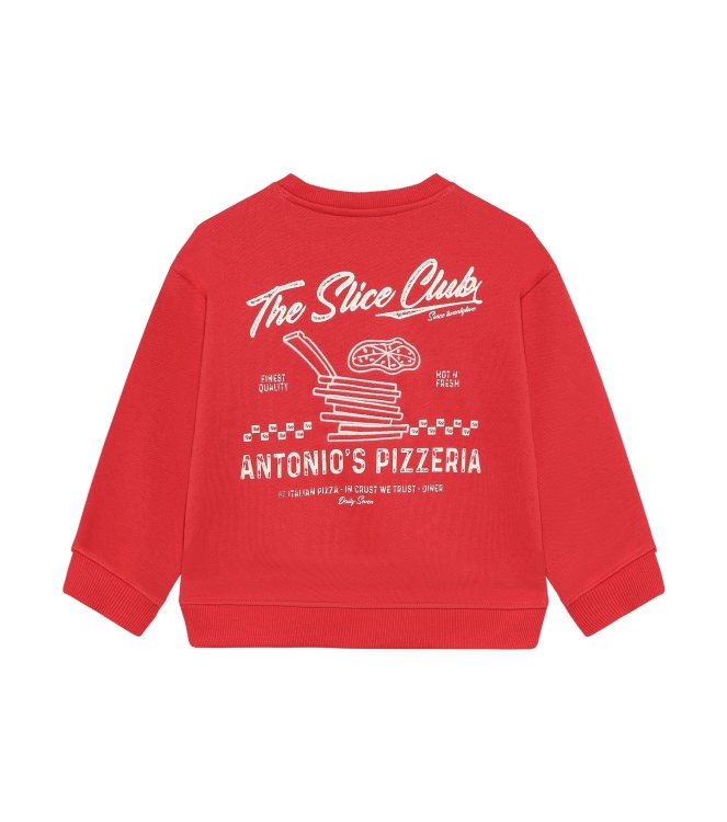 Daily7 truien Chrysanthemum 920287