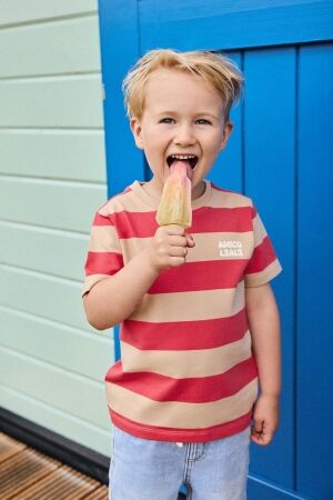 Daily7 T-shirt Big Stripe Chrysanthemum