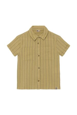 Daily7 Overhemd Small Stripe Pale Olive Green