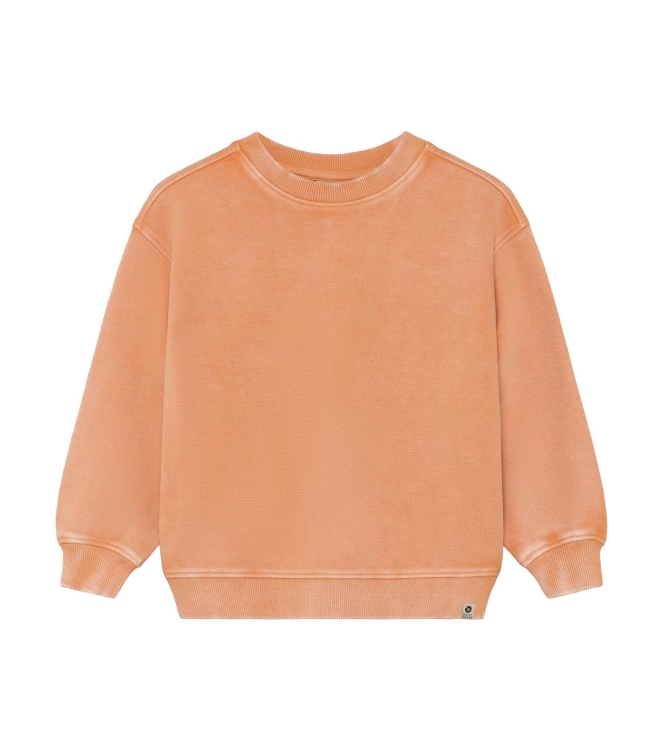 Daily7 truien Sandstone 920336